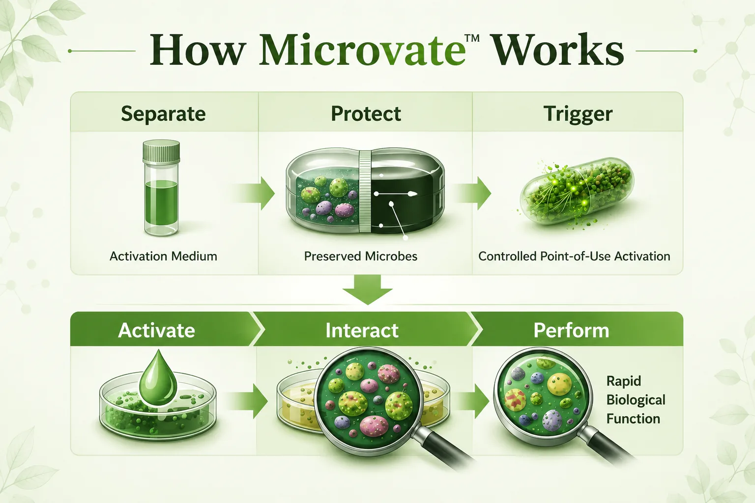Microvate dual-component separated storage and activation diagram